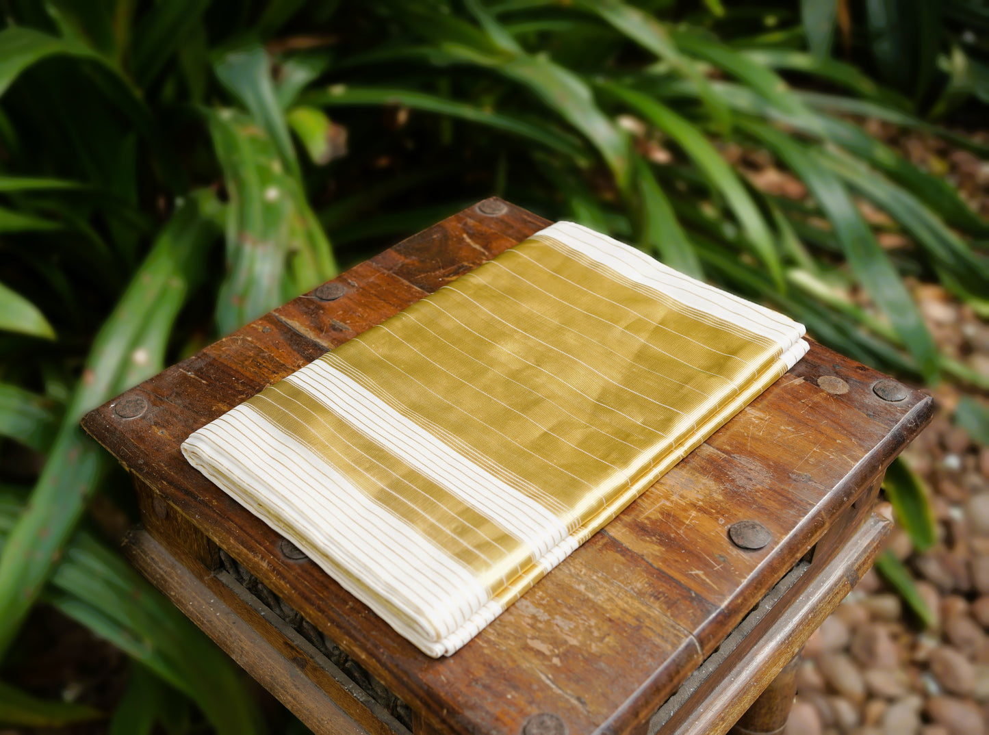 Kerala Cotton Kasavu Lines Design Saree