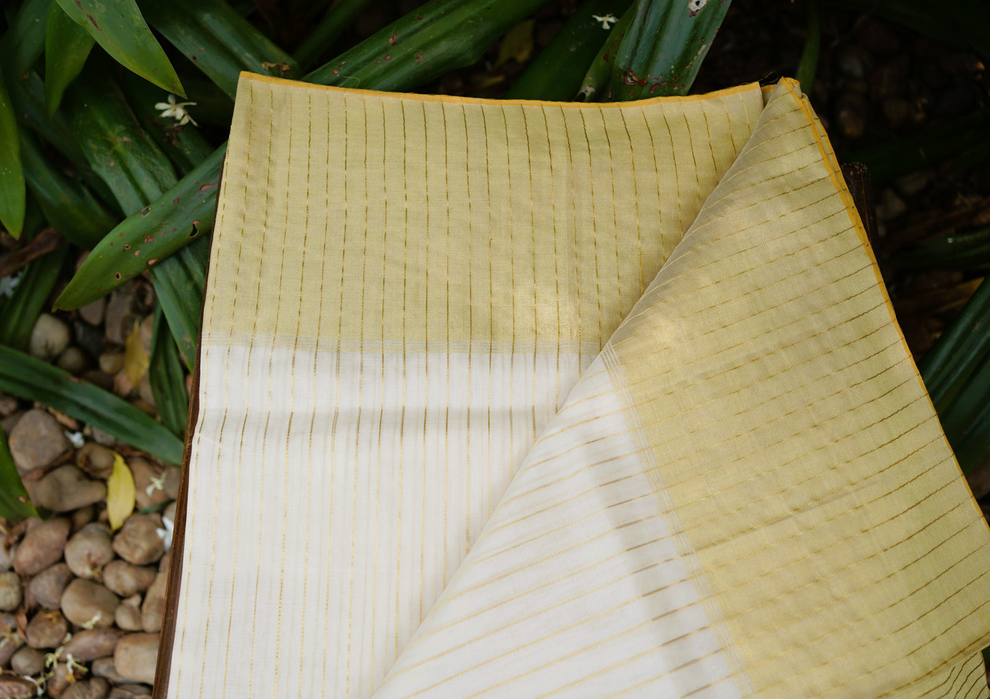 Kerala Cotton Kasavu Lines Design Saree