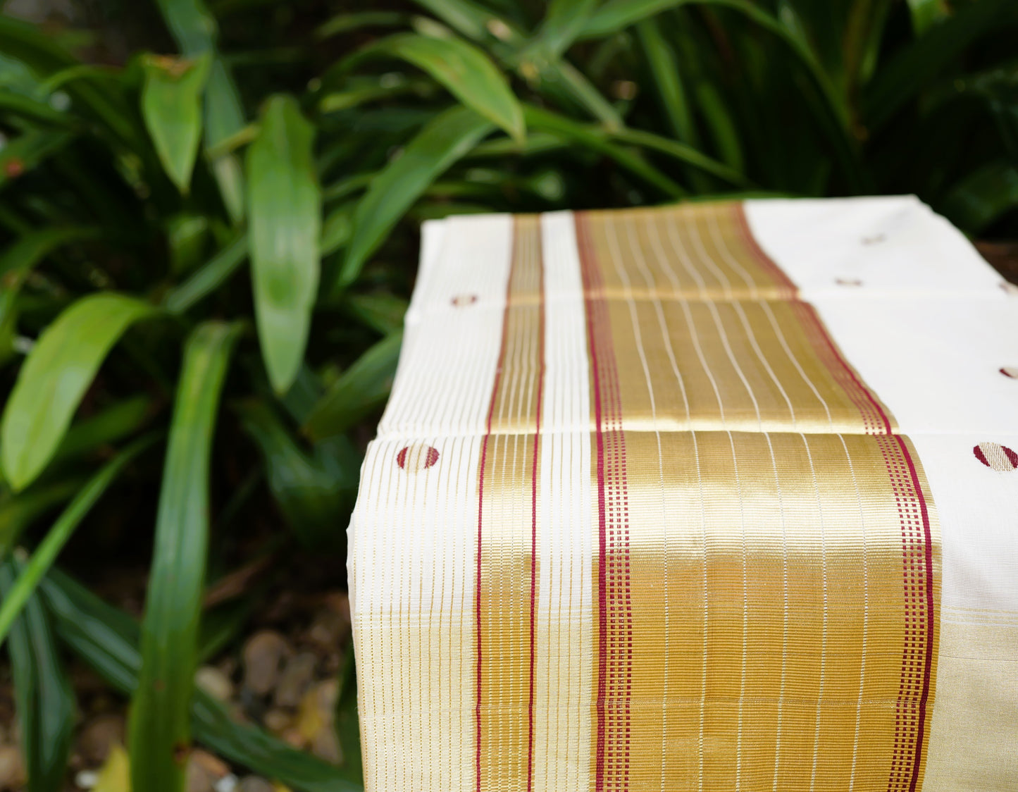 Pure Cotton Polka Dot Handloom Finish Kasavu Saree