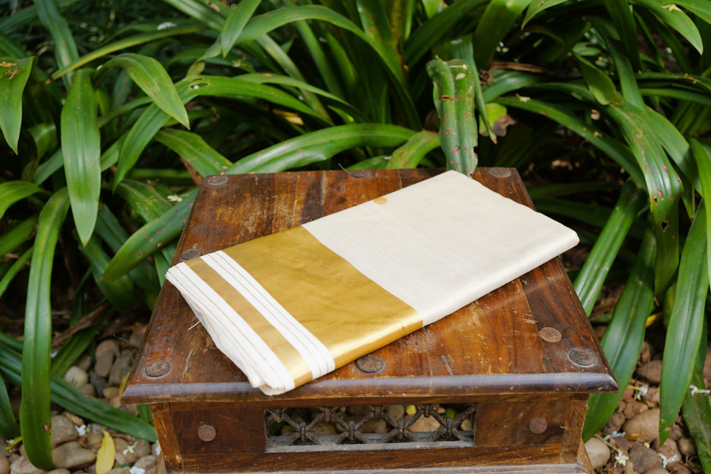 Kerala Tissue Kasavu Saree With Polka Dots