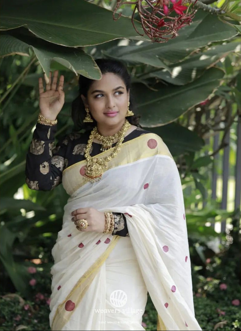 Weavers Village Handloom saree